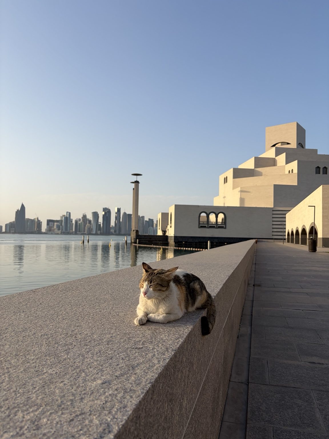 Noor welcoming visitors beside a Doha cat at the Museum of Islamic Art